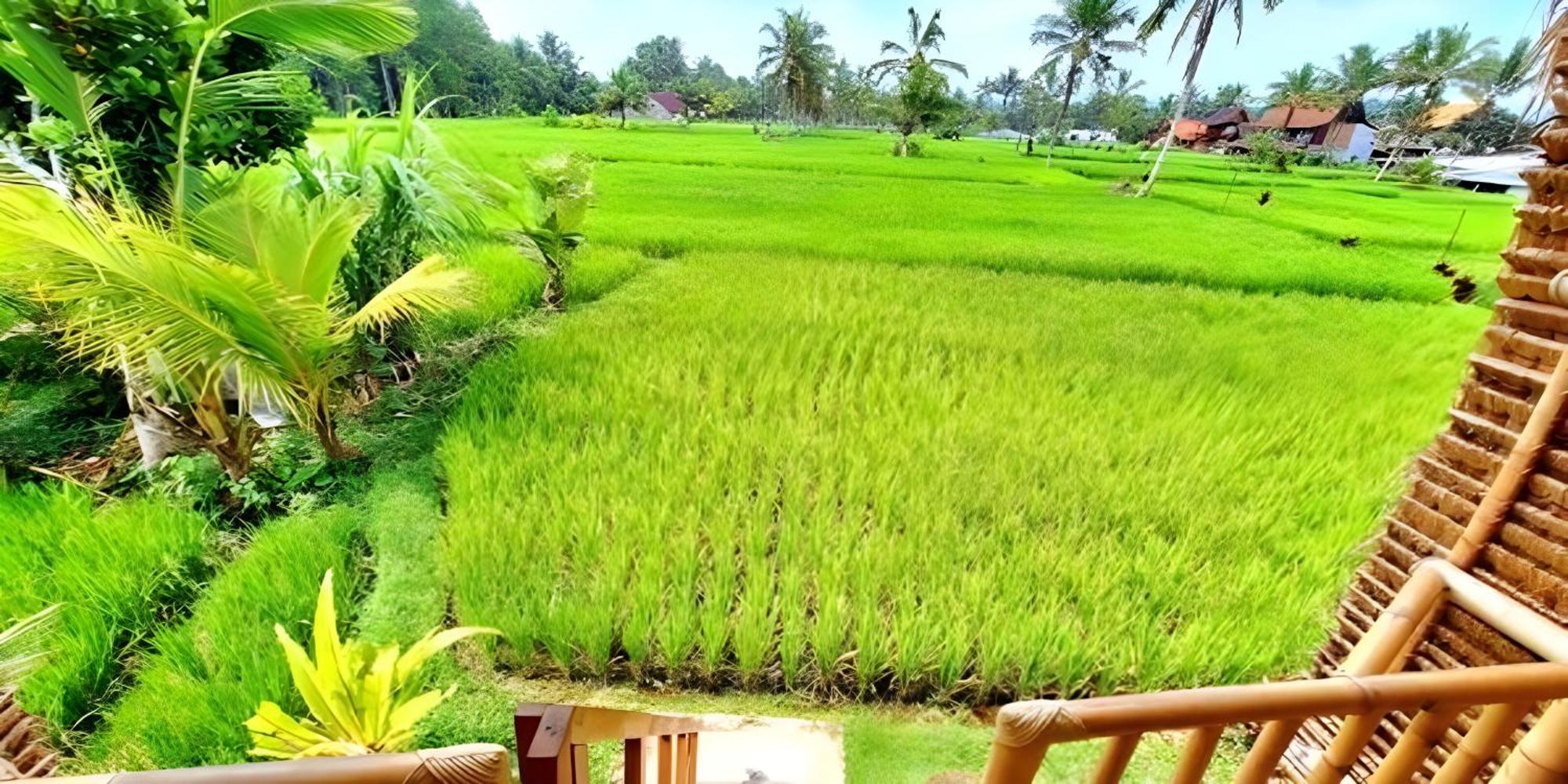 Lumbung Langit Bali House & Hostel Tampaksiring Exterior foto