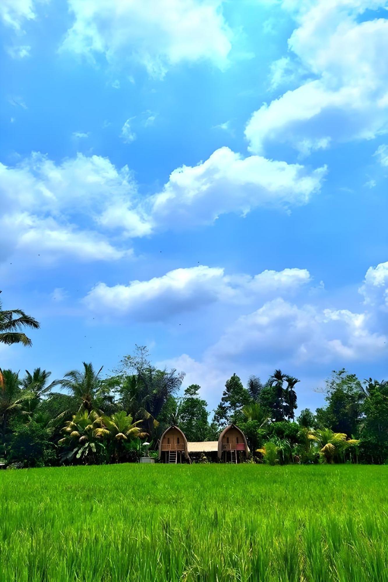 Lumbung Langit Bali House & Hostel Tampaksiring Exterior foto