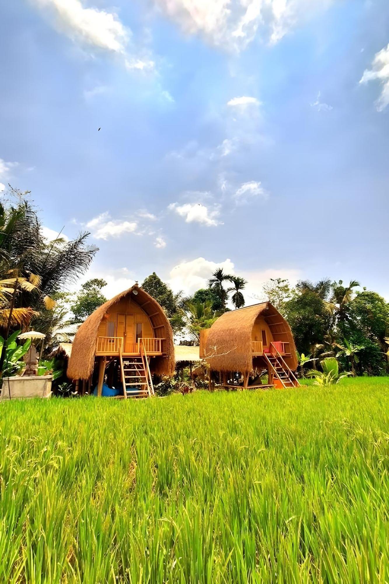 Lumbung Langit Bali House & Hostel Tampaksiring Exterior foto